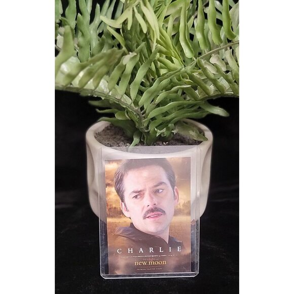 Collectible Charlie New Moon Trading Card with Protective Sheath - Picture 2 of 5